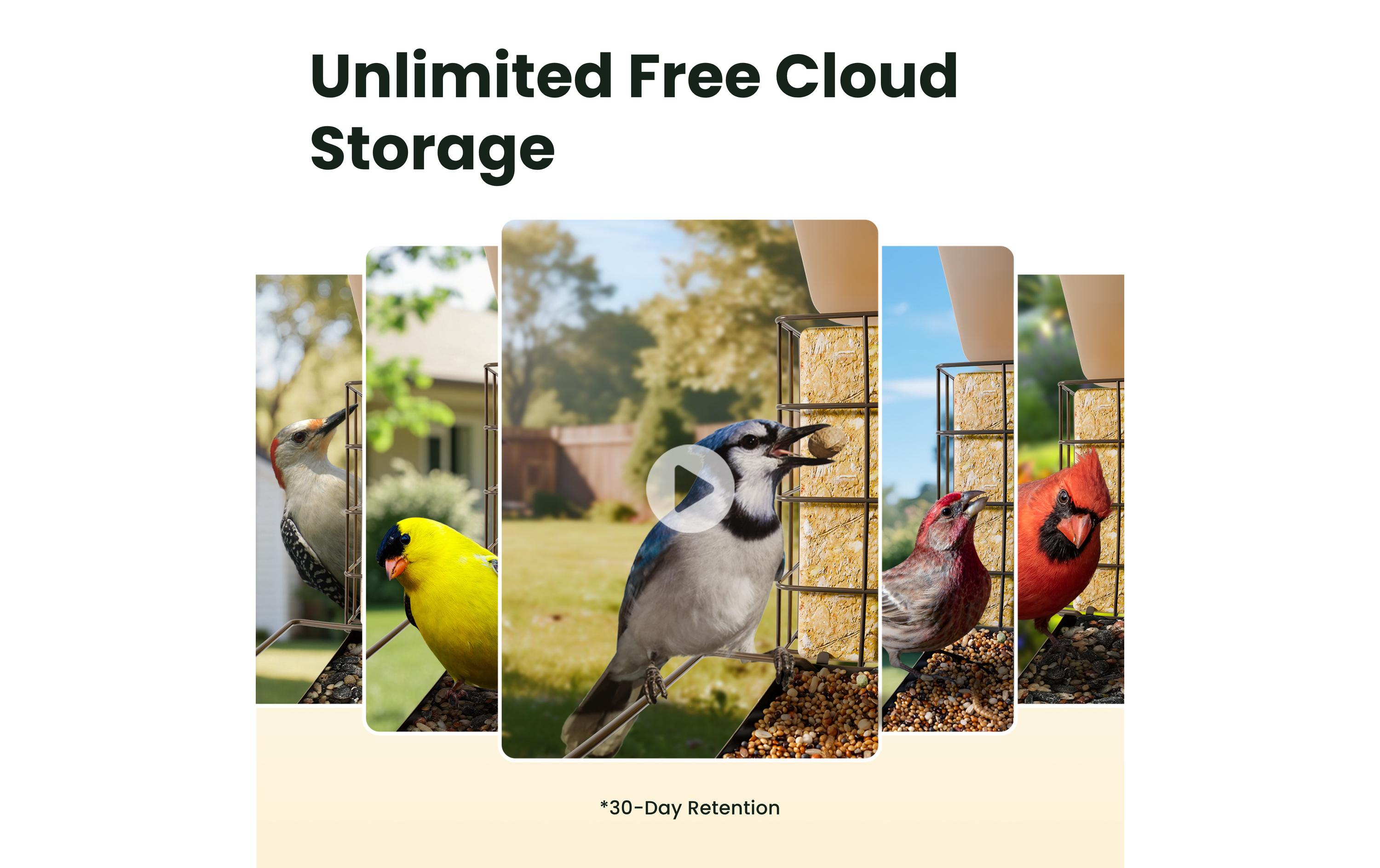 Birdfy Futterspender Metall V 1080PHD mit Kamera