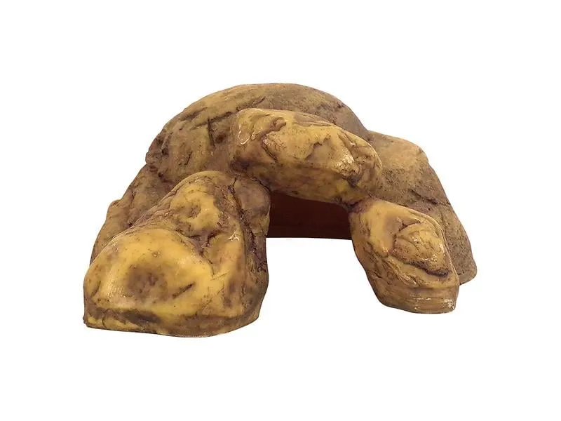 Exo Terra Höhle Reptile Cave S, 8 x 15 x 14 cm