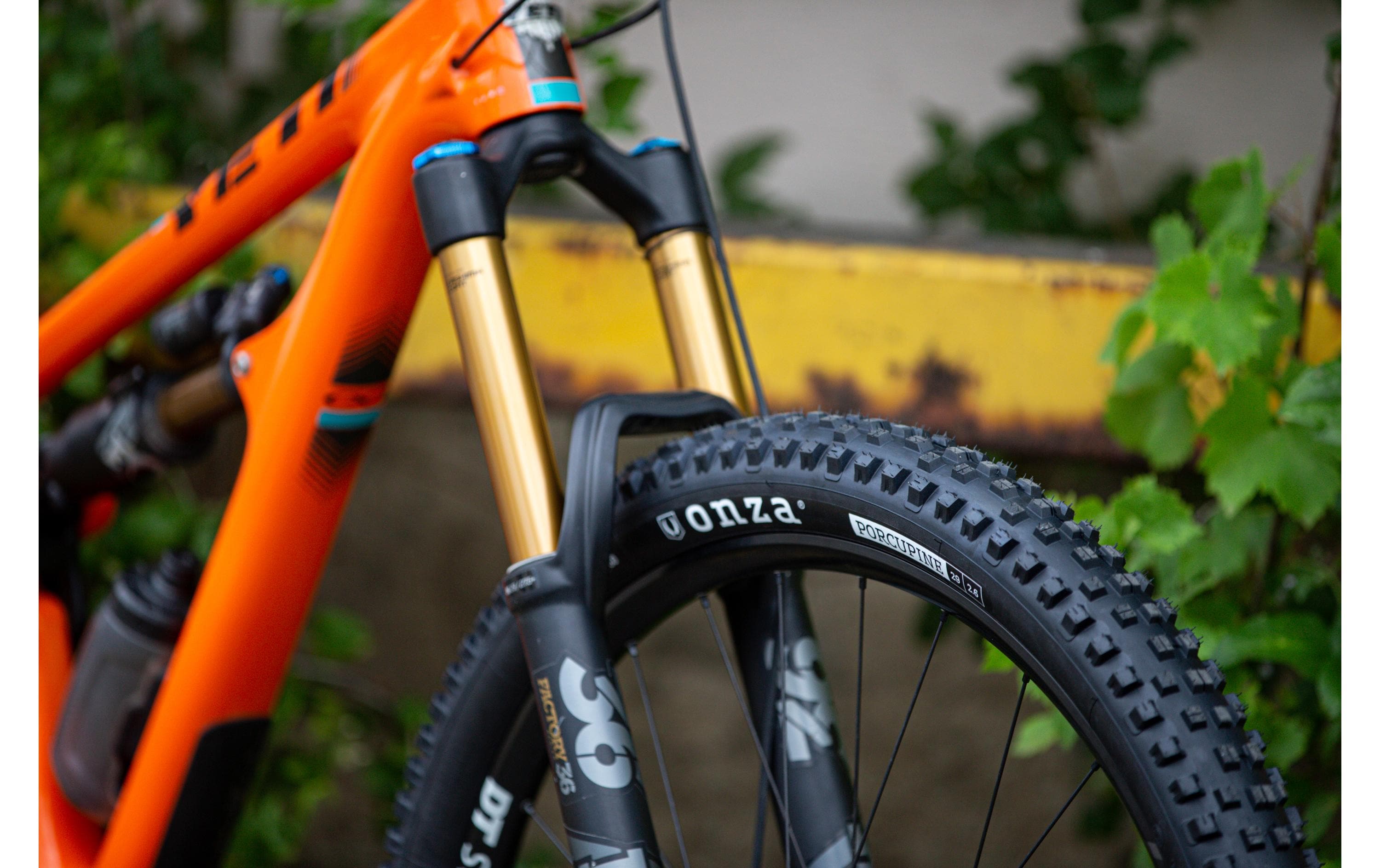 Onza Velopneu Porcupine, 50 Rubber, 29 x 2.6