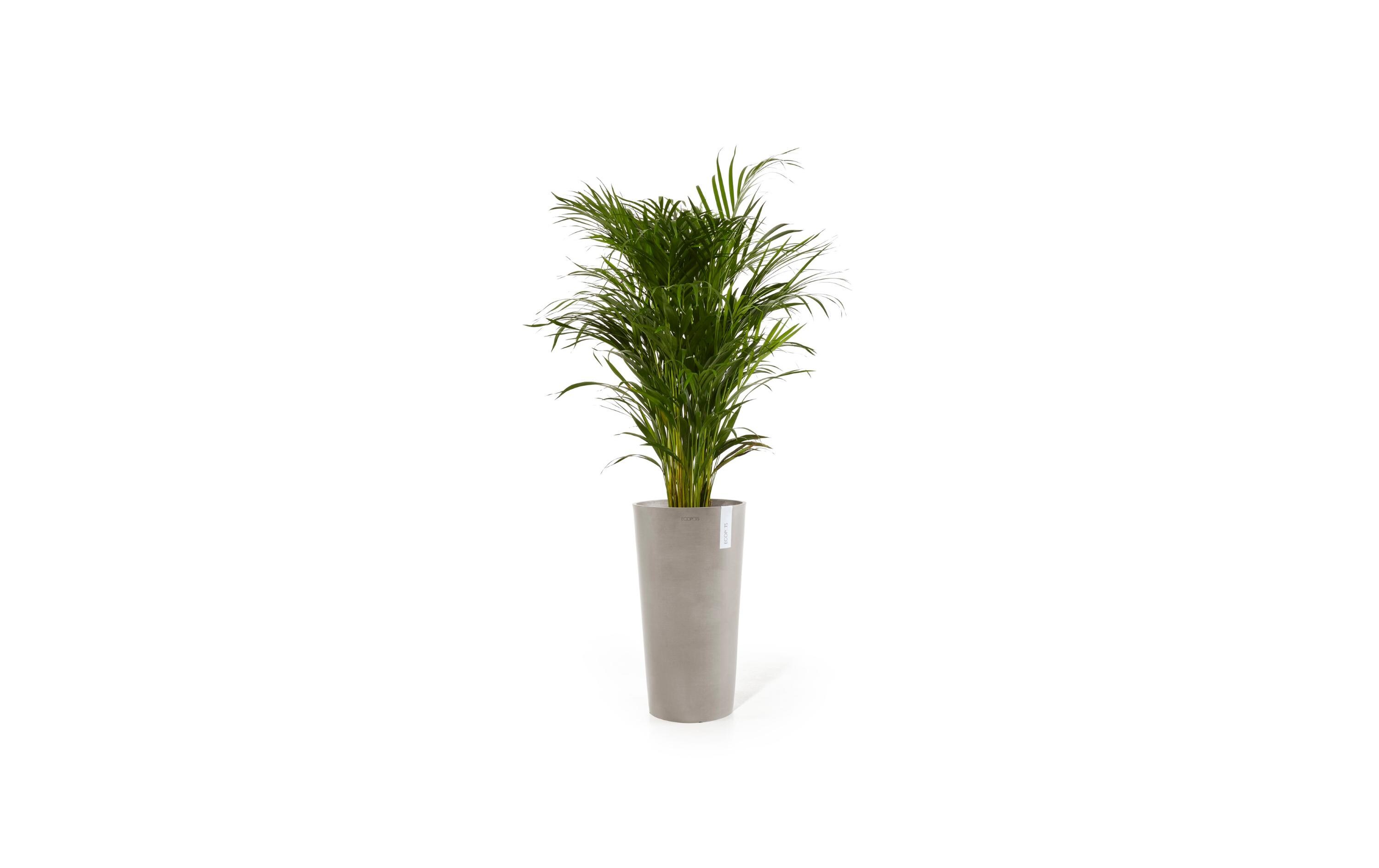 Ecopots Blumentopf Amsterdam High Ø 76 cm Taupe