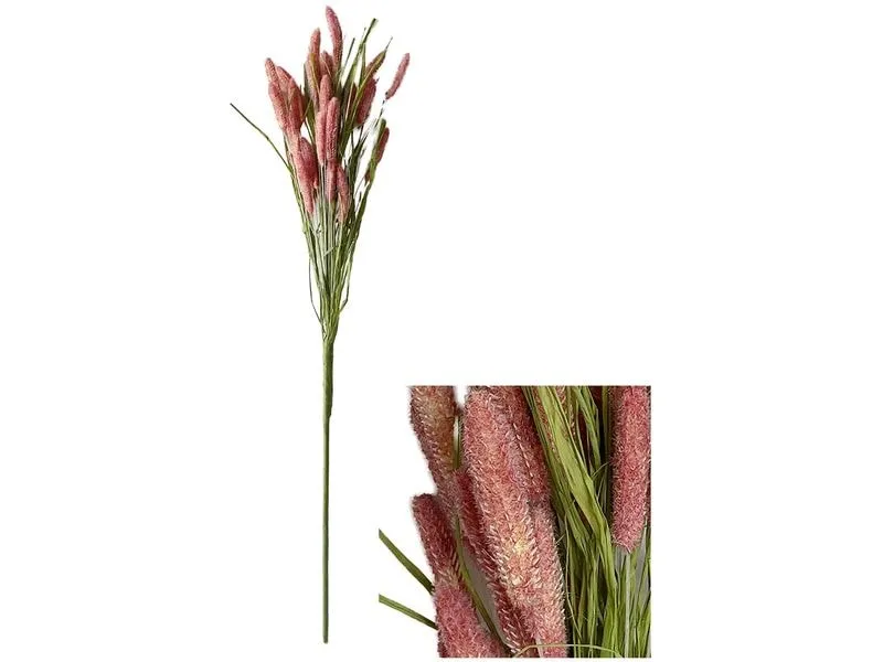 CHALET Blumenstiel Setaria 70 cm, Pink