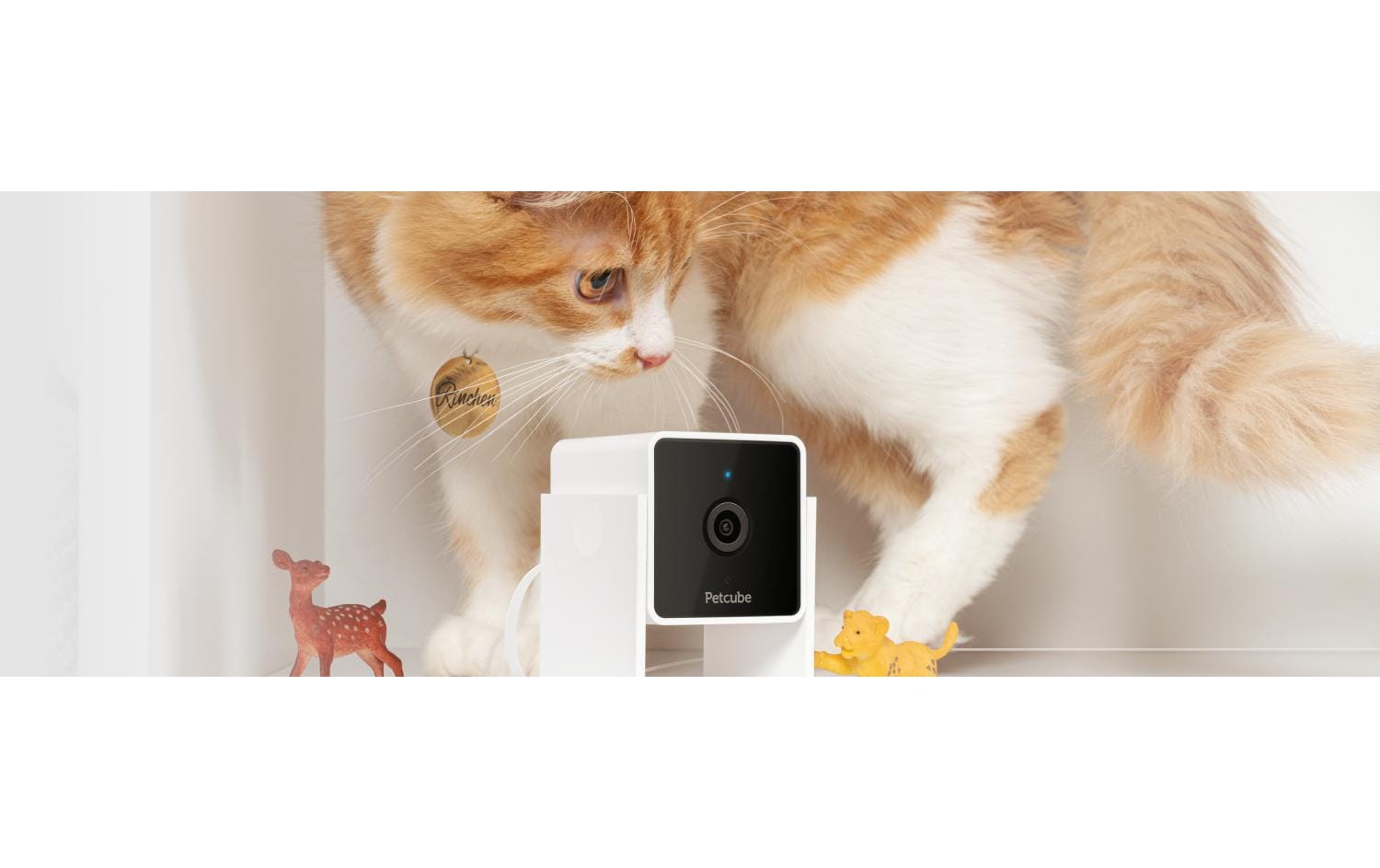 Petcube Haustierkamera Pet Cube