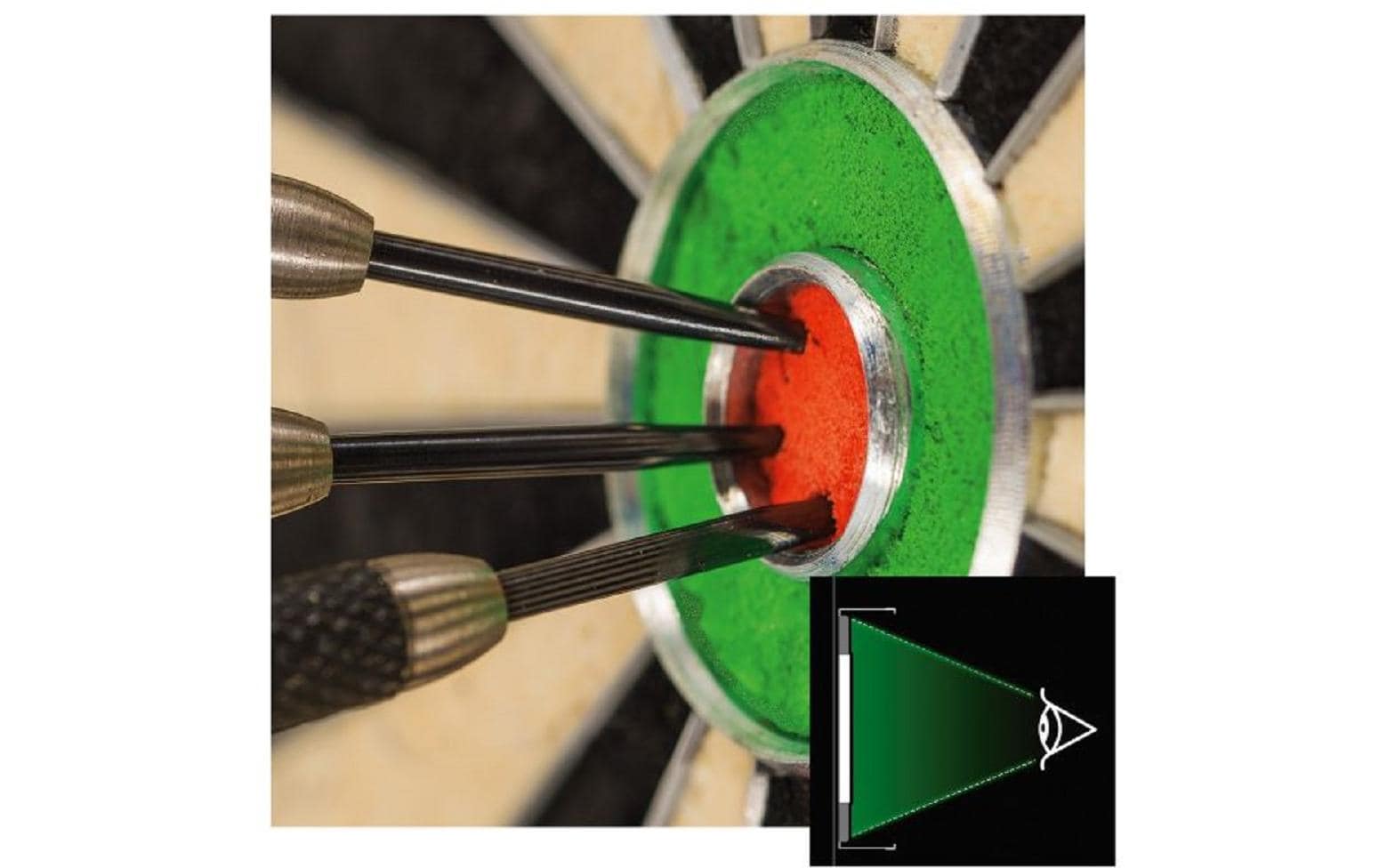 Winmau Dartboard Plasma Light Professional