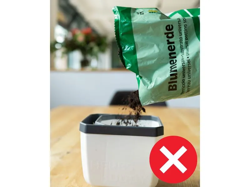 Gusta Garden HERBS BUDDY Kräutertopf 3er Set Weiss Gusta Garden HERBS BUDDY Kräutertopf 3er Set Weiss