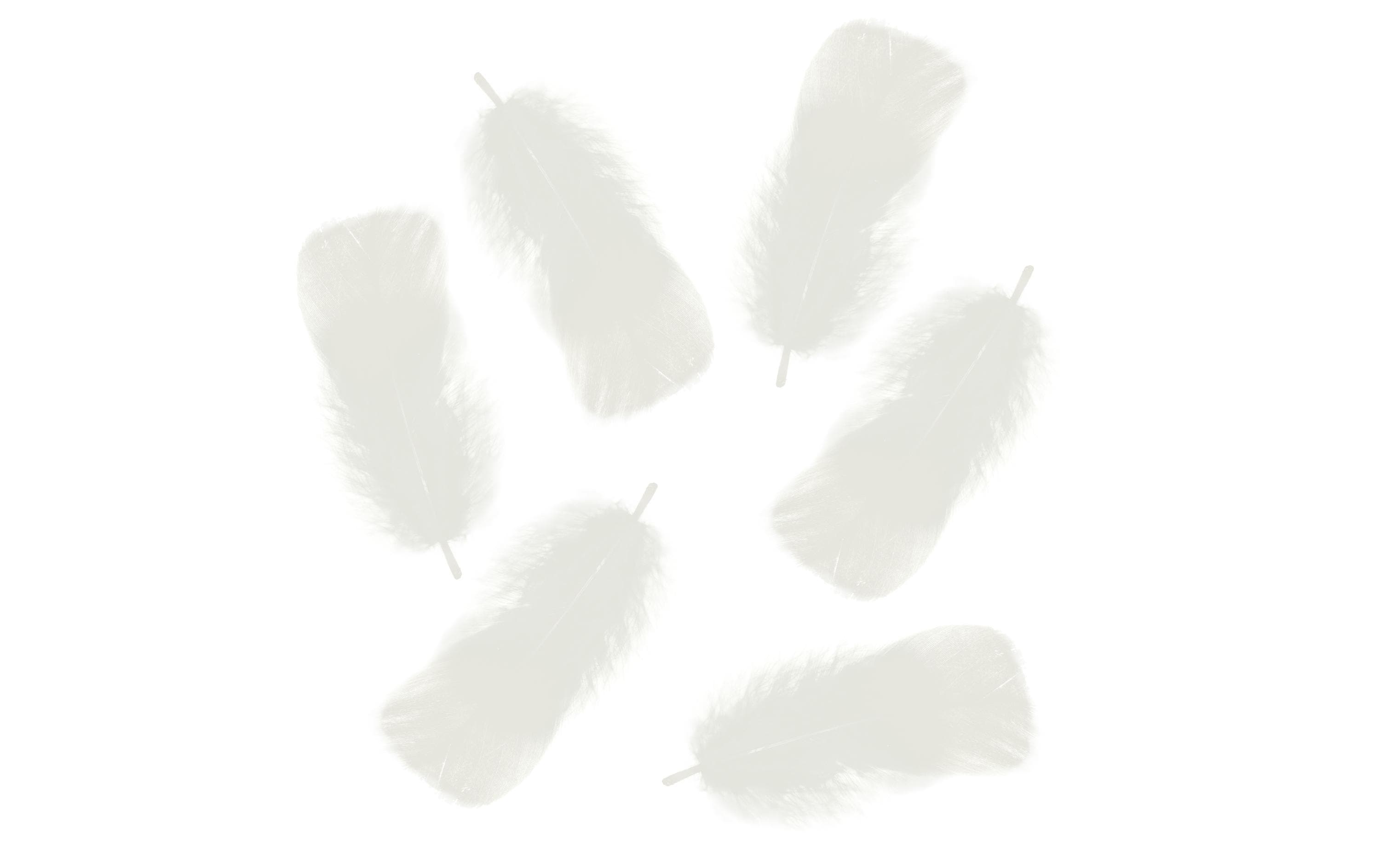 URSUS Federn 100g, Weiss