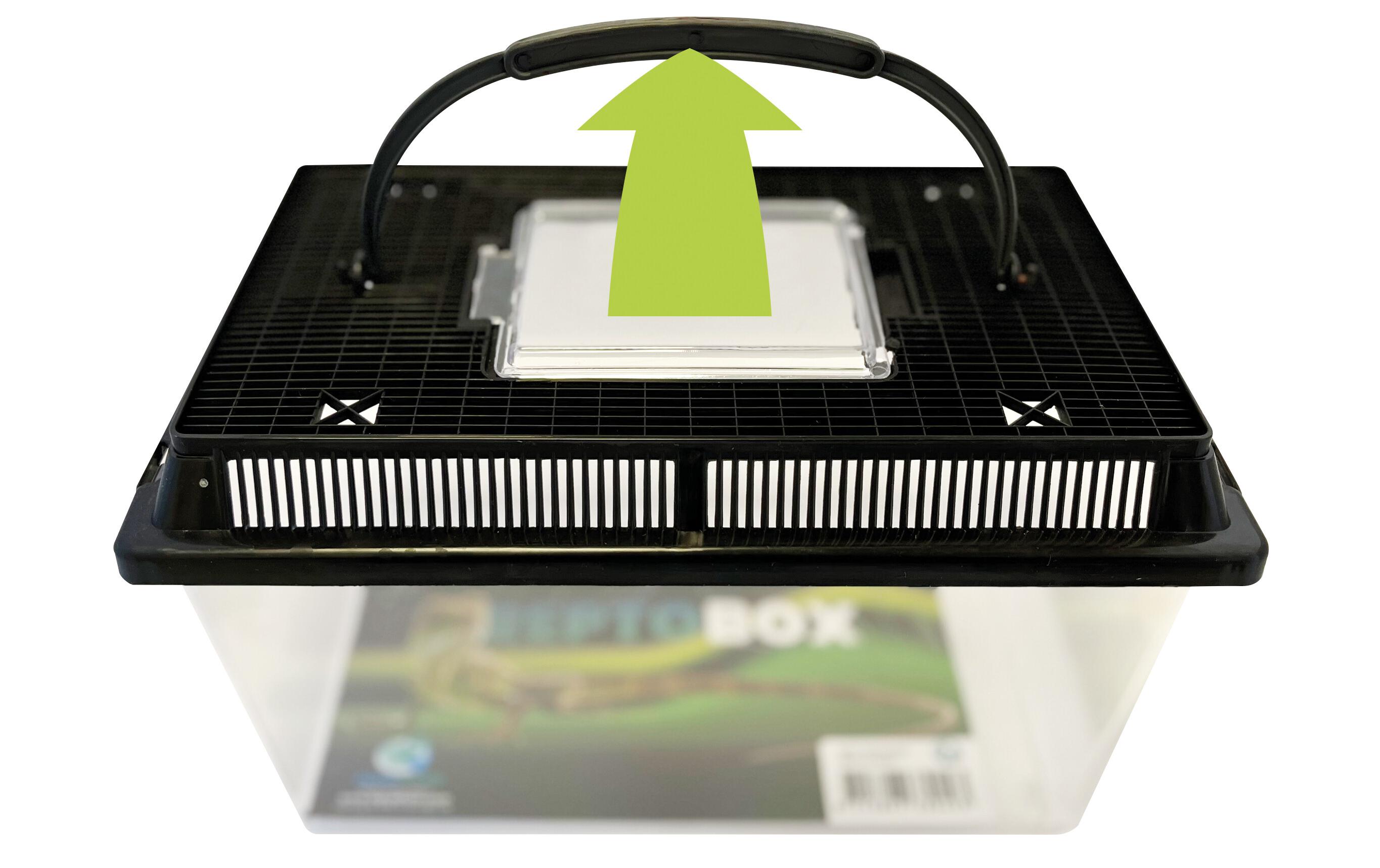 Repto Kunststoffterrarium Breedingbox M, 27 x 17 x 16 cm