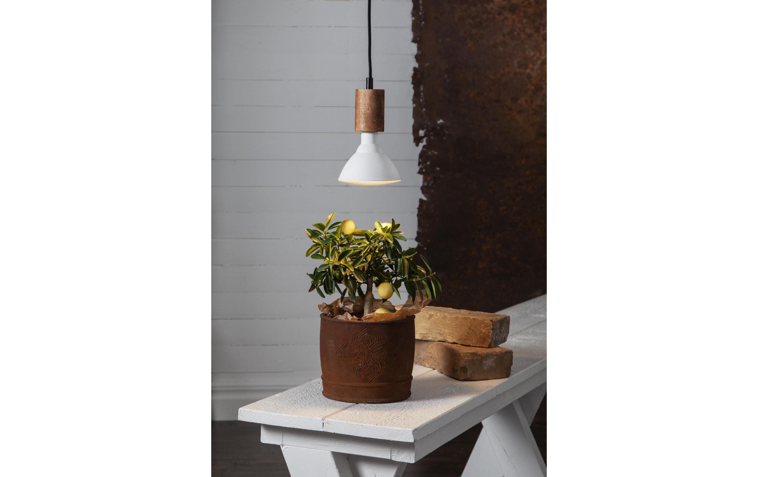 Star Trading Leuchtmittel Plant Light 800cd 16 W E27