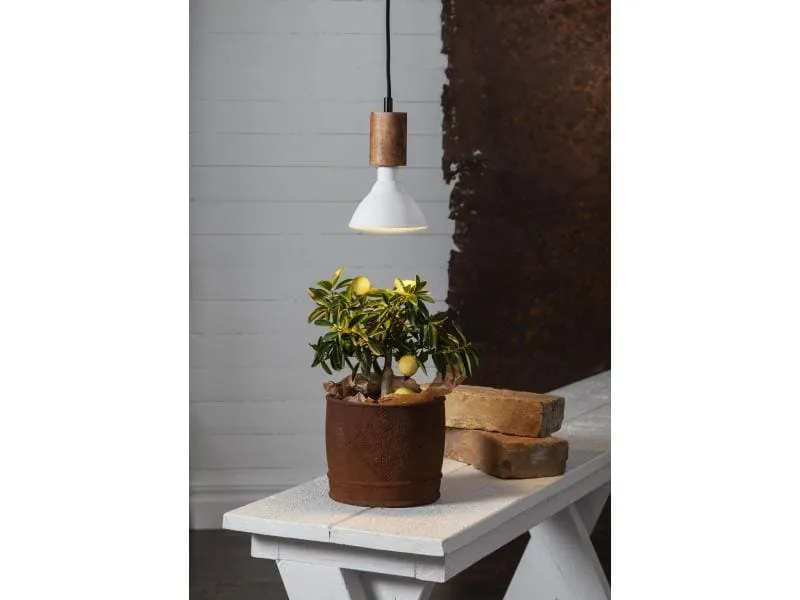 Star Trading Leuchtmittel Plant Light 800cd 16 W E27