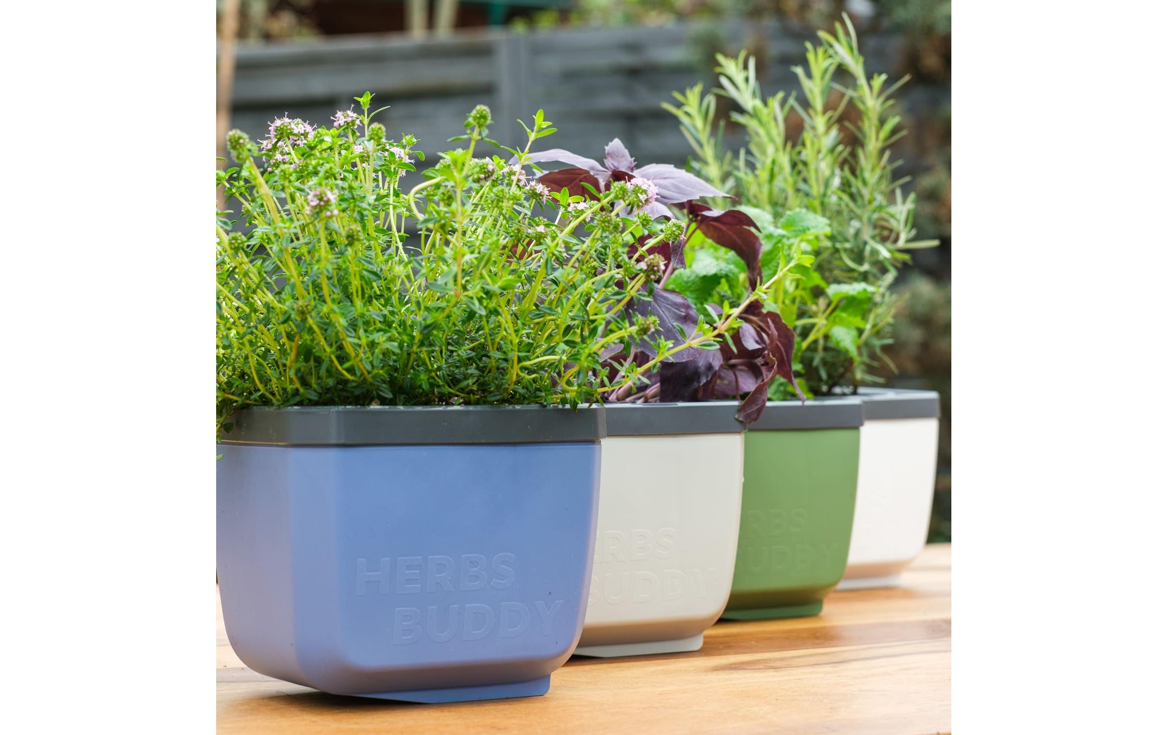 Gusta Garden HERBS BUDDY Kräutertopf Blau