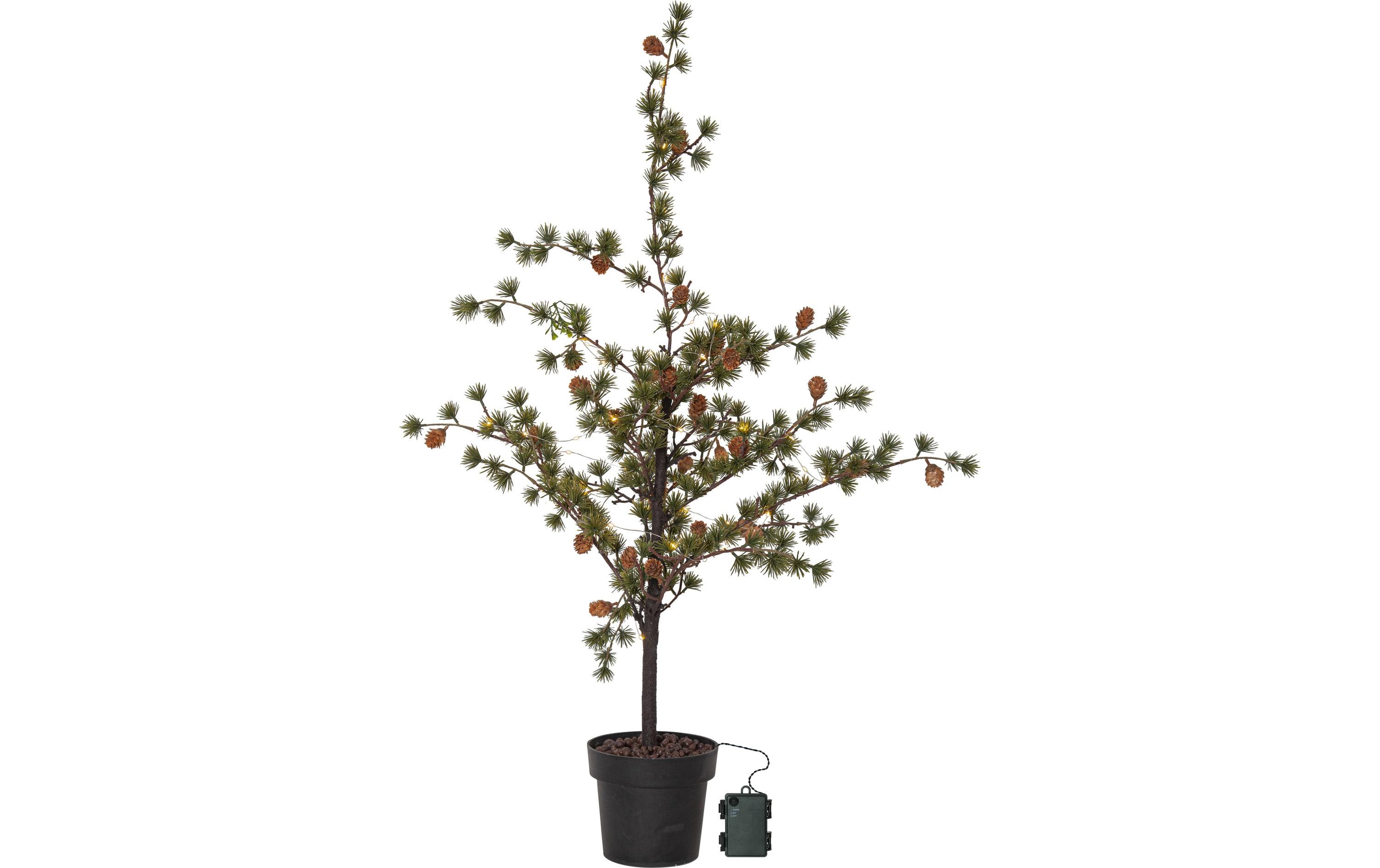 Star Trading Baum Larix, 1.17 m, Grün, 40 LED Star Trading Baum Larix, 1.17 m, Grün, 40 LED