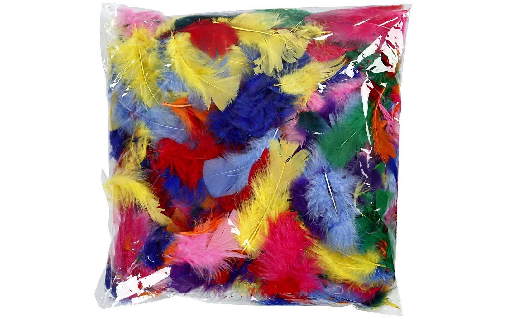 Creativ Company Federn 50 g Mehrfarbig