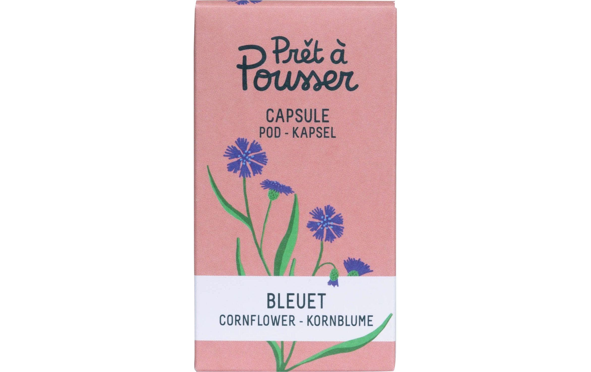 Prêt à Pousser Samen Kornblume Prêt à Pousser Samen Kornblume