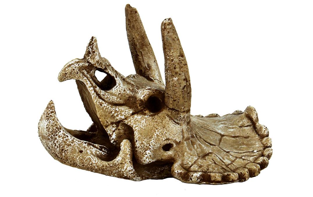 SuperFish Dekoration Schädel Triceratops M