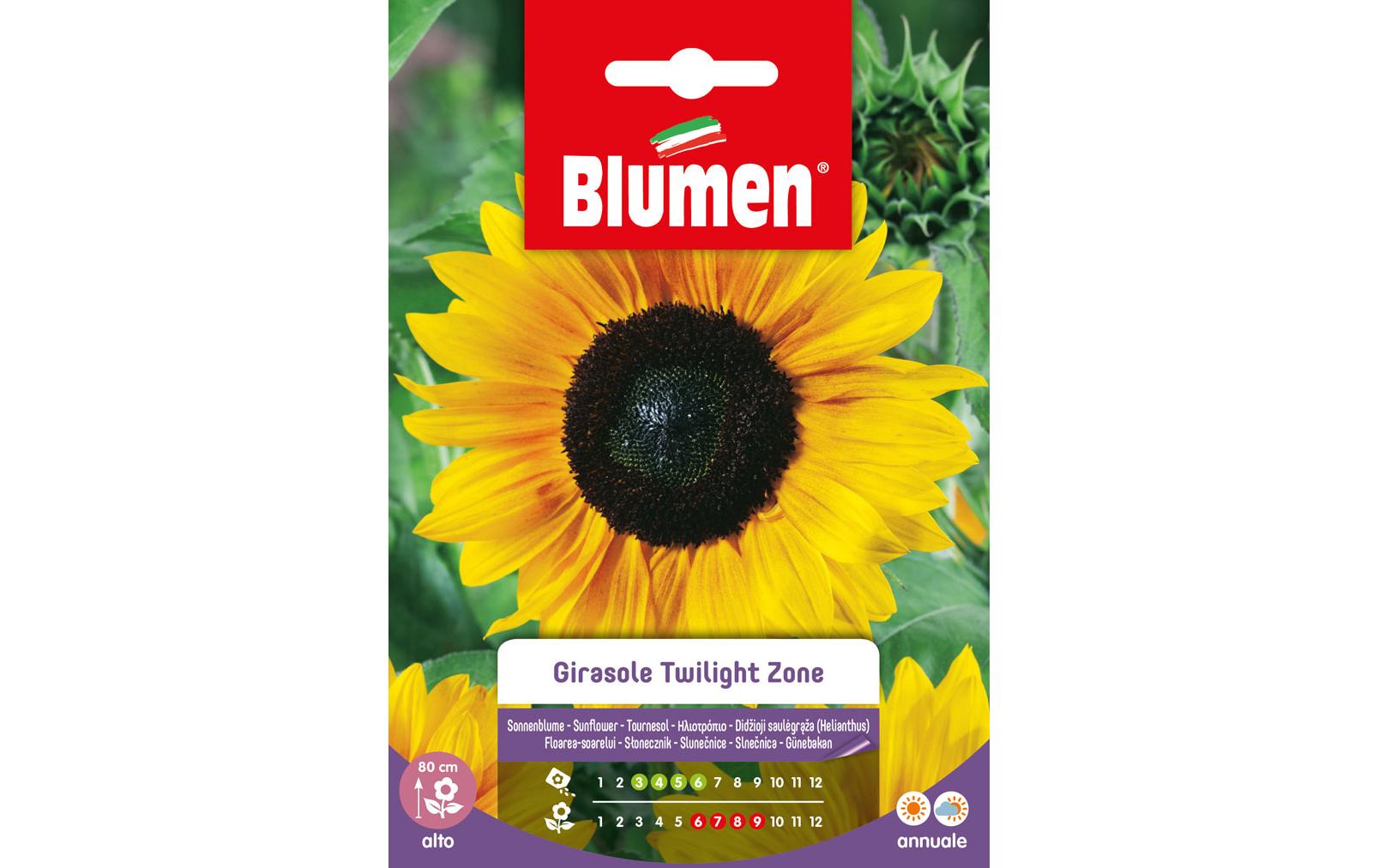 Blumen Saatgut Sonnenblume Twilight Zone Blumen Saatgut Sonnenblume Twilight Zone