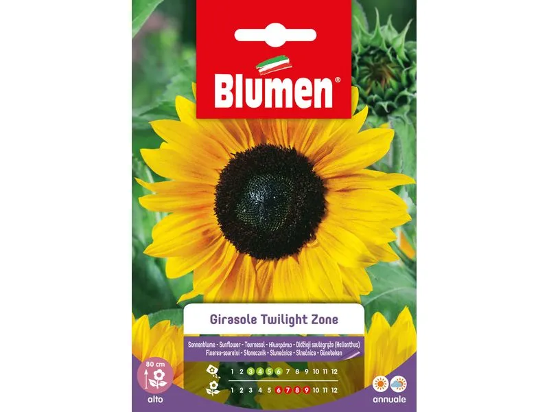 Blumen Saatgut Sonnenblume Twilight Zone Blumen Saatgut Sonnenblume Twilight Zone