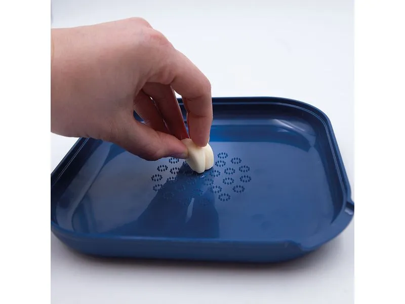 Livington Everclean Küchenreibe Chop It Basic Blau