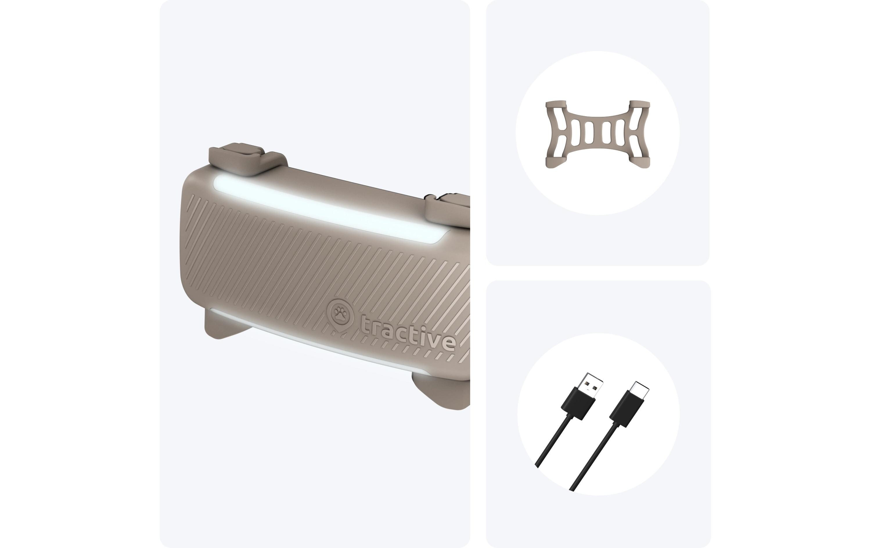 tractive GPS-Tracker DOG 6 Braun