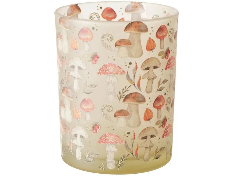 Boltze Windlicht Wilow Glas, 12 x 10 cm Boltze Windlicht Wilow Glas, 12 x 10 cm