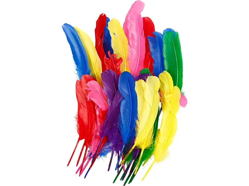 Creativ Company Federn Hühner, L 20 cm, Sortierte Farben, 36 Stück Creativ Company Federn Hühner, L 20 cm, Sortierte Farben, 36 Stück