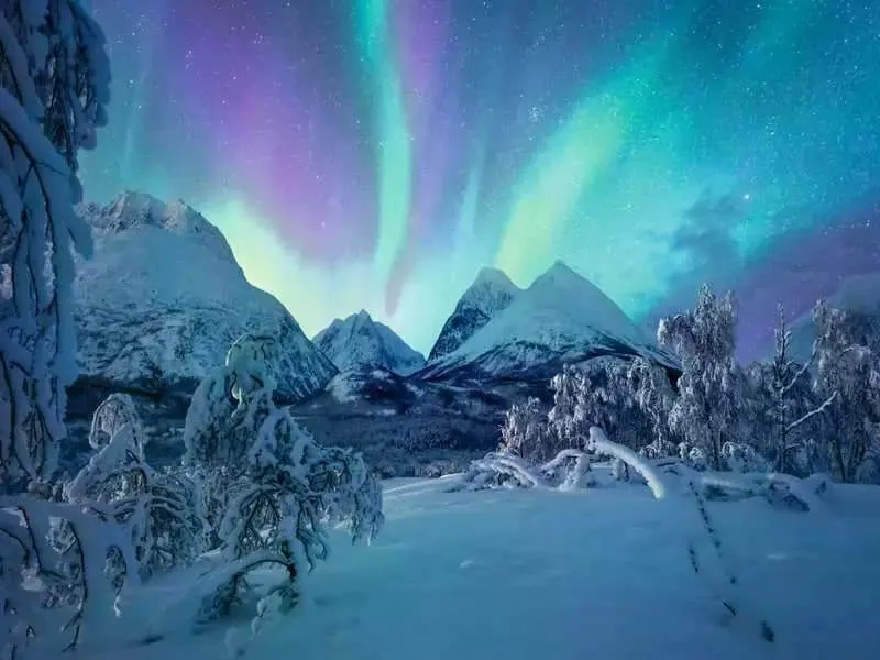 Ravensburger Puzzle Wenn die Nordlichter tanzen 1500 Teile