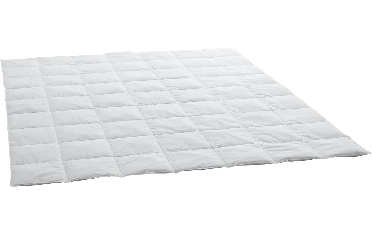 Billerbeck Clima Caro Light 240 x 240 cm