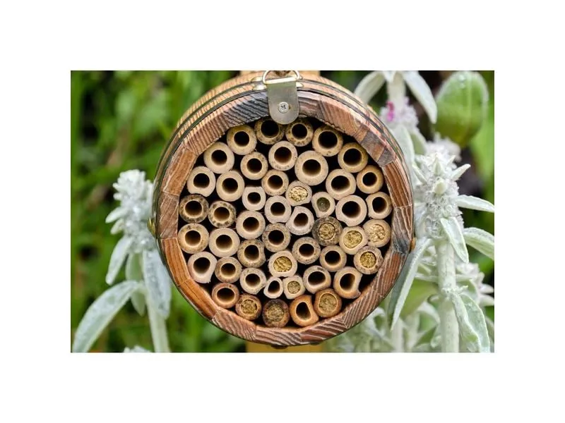 Wildlife World Wildbienenhotel Bienenfass 13 x 13 x 18 cm Wildlife World Wildbienenhotel Bienenfass 13 x 13 x 18 cm
