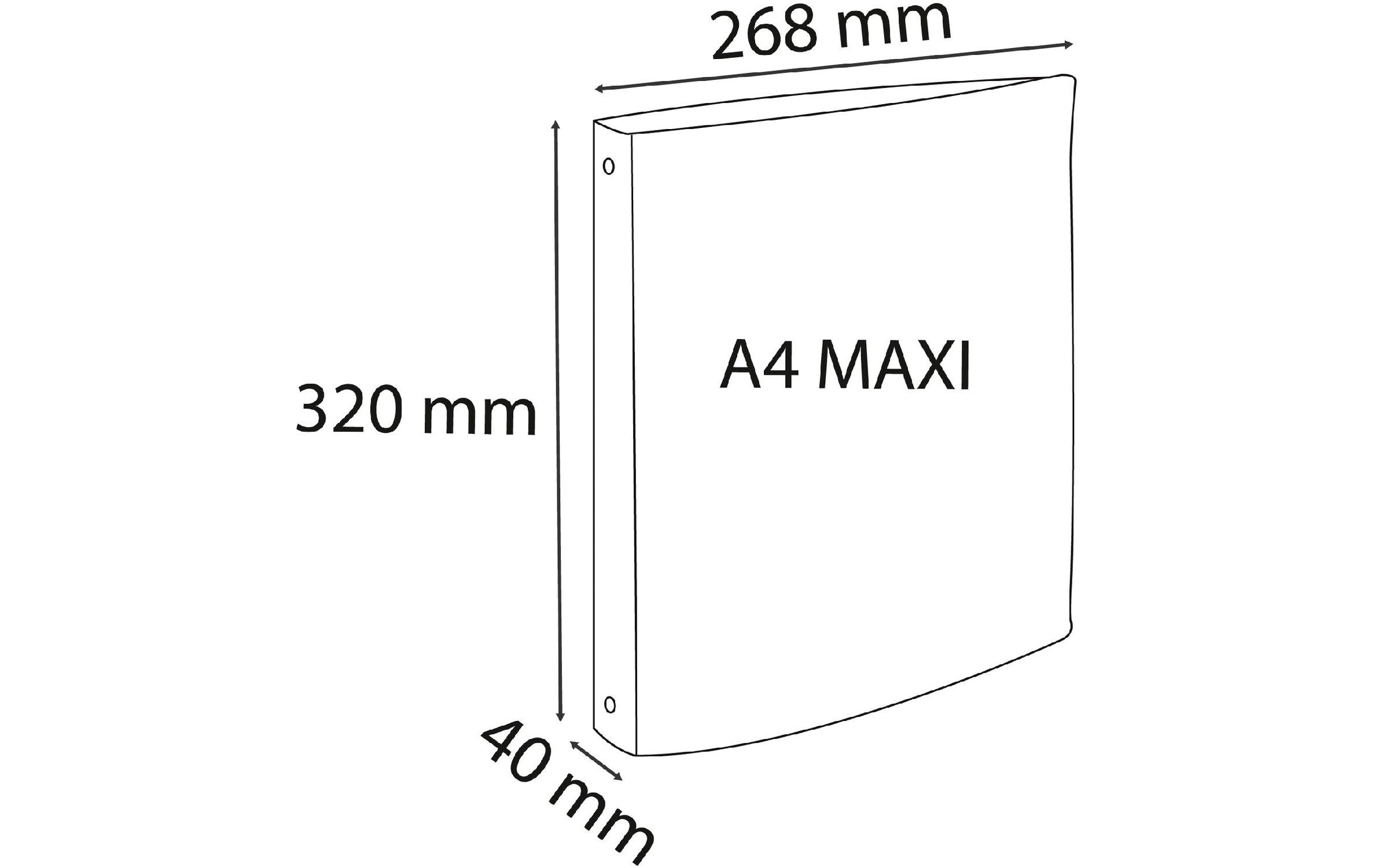 Exacompta Ringbuch Skandi A4+, mehrfarbig, 4 Stück Exacompta Ringbuch Skandi A4+, mehrfarbig, 4 Stück