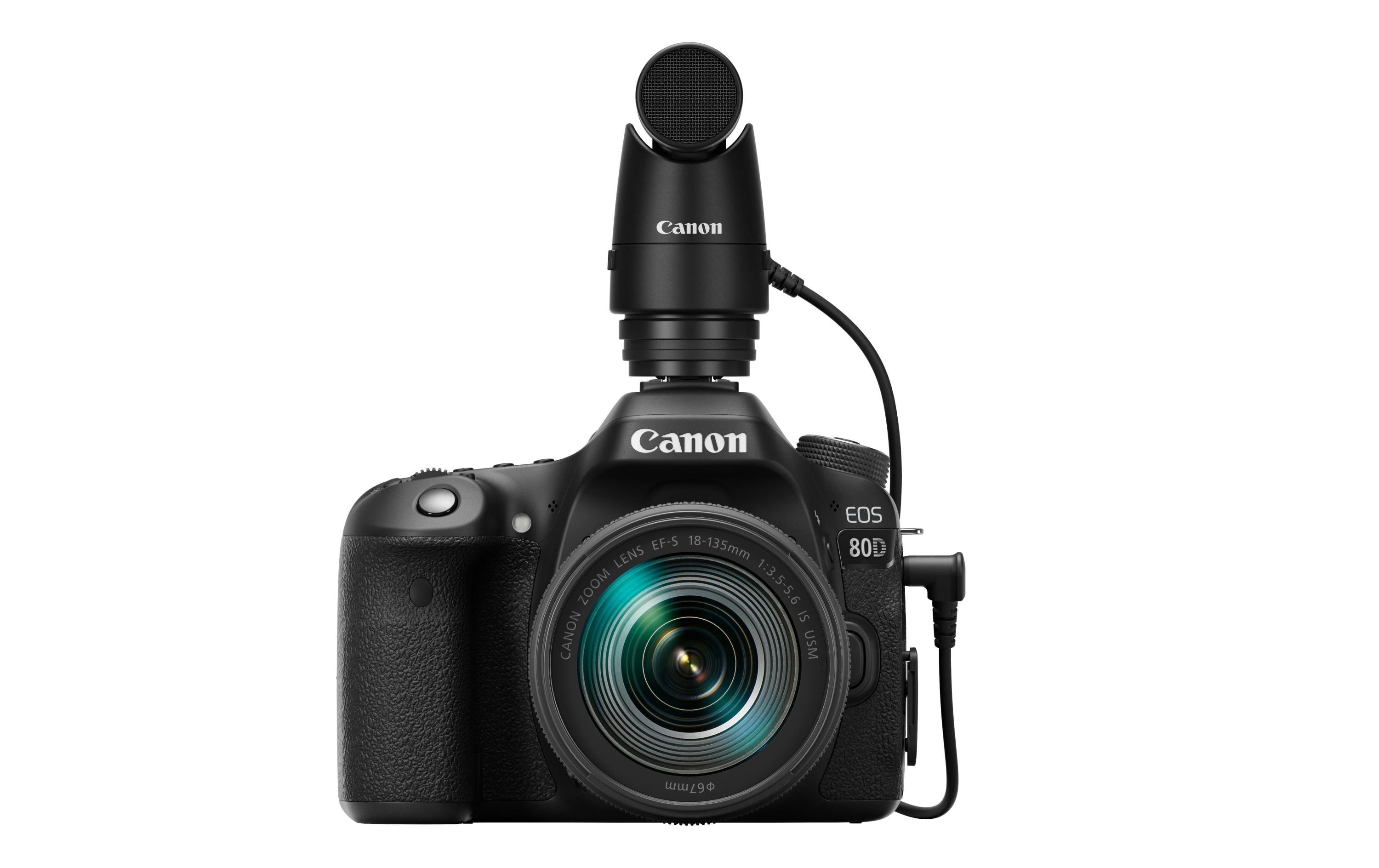 Canon Mikrofon DM-E1