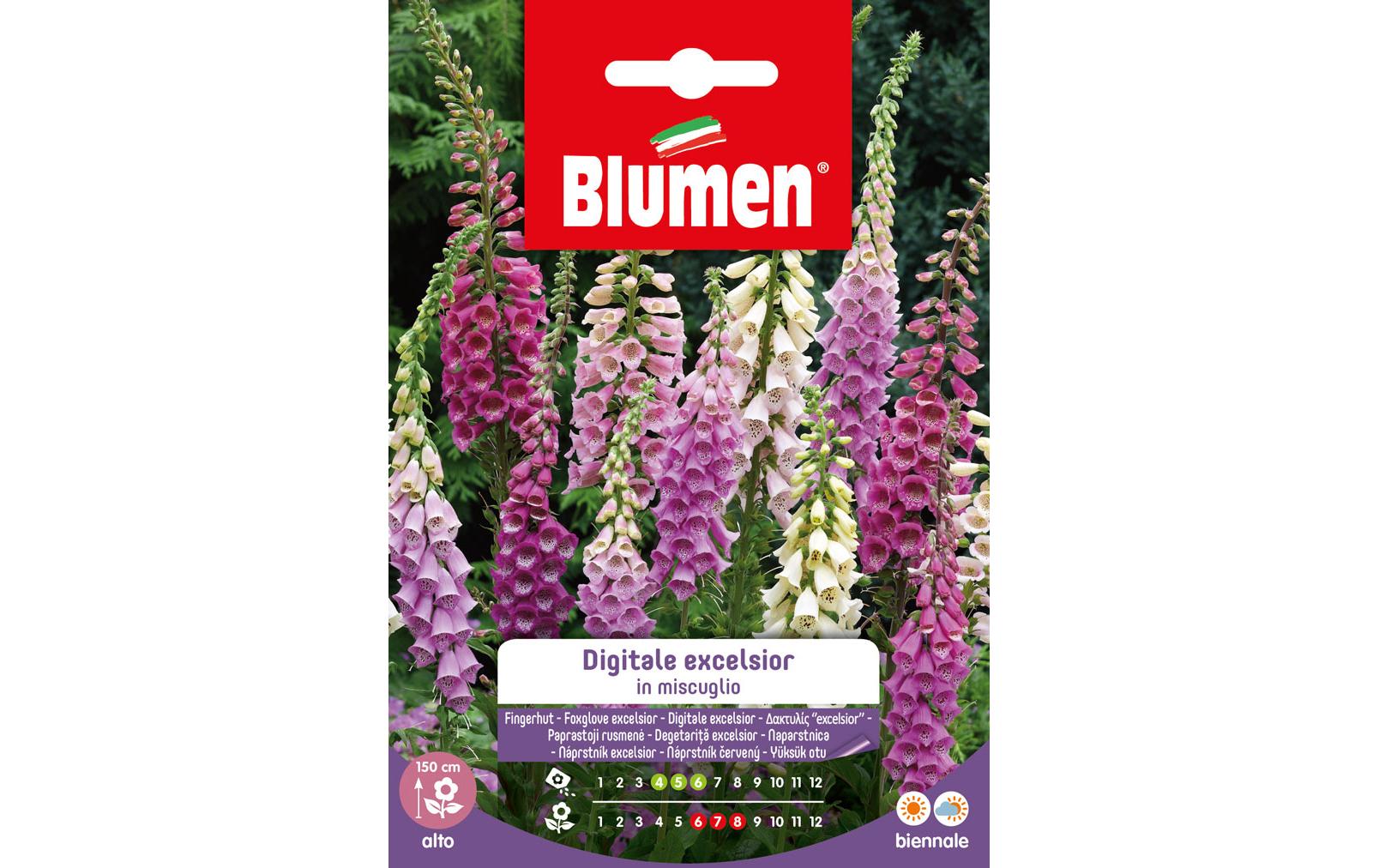 Blumen Saatgut Fingerhut Excelsior Mix Blumen Saatgut Fingerhut Excelsior Mix
