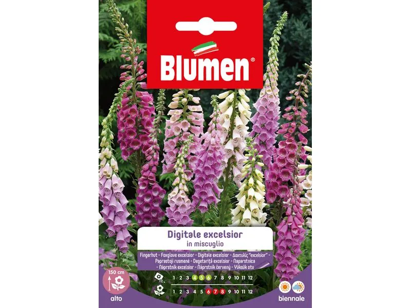 Blumen Saatgut Fingerhut Excelsior Mix