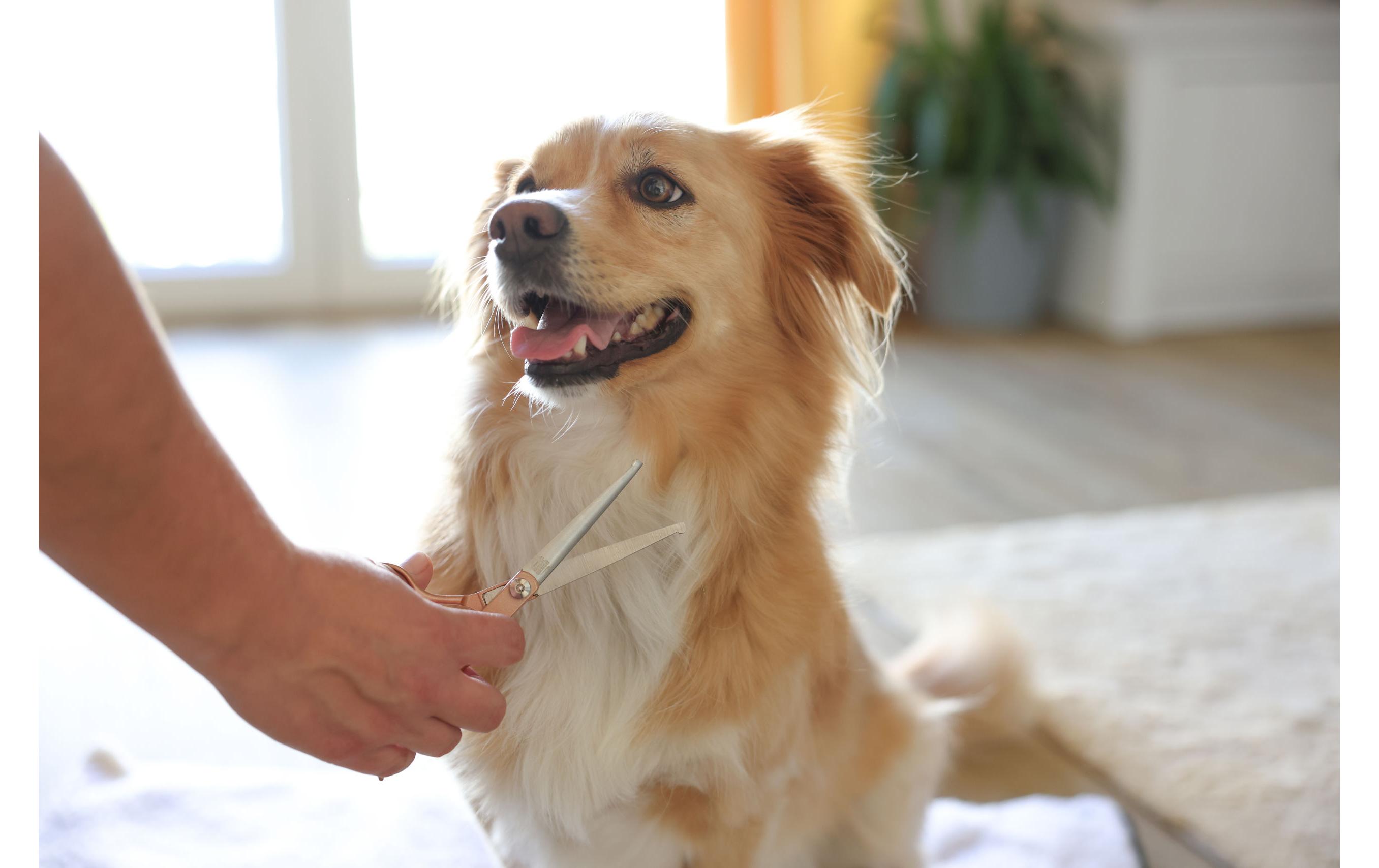 Kerbl MagicBrush Grooming-Schere Hund