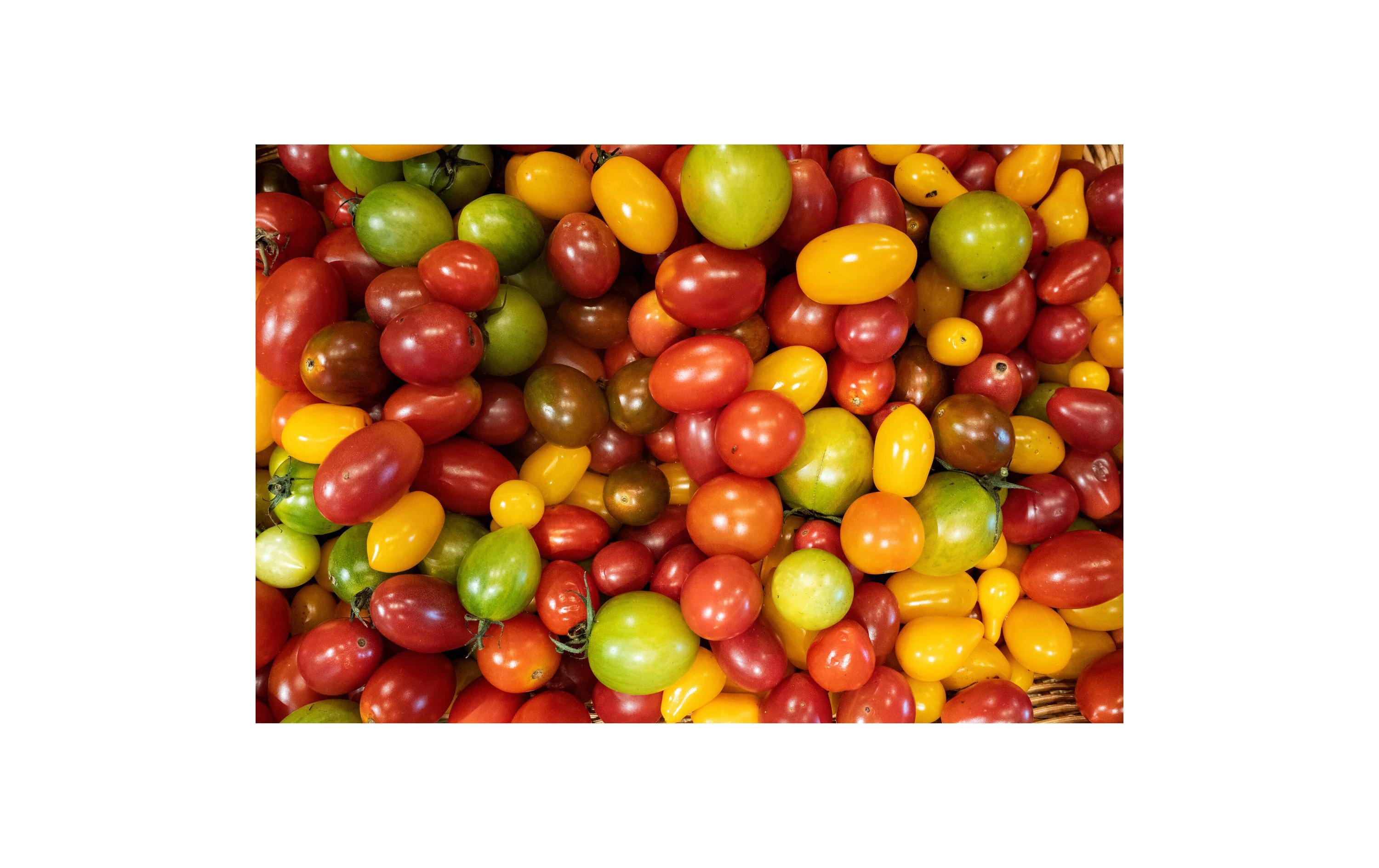 Sigma Zoomobjektiv 18-50mm F/2.8 DC DN Contemporary Sony E-Mount Sigma Zoomobjektiv 18-50mm F/2.8 DC DN Contemporary Sony E-Mount