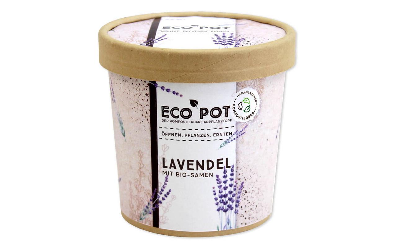 Feel Green EcoPot Lavendel BIO Feel Green EcoPot Lavendel BIO