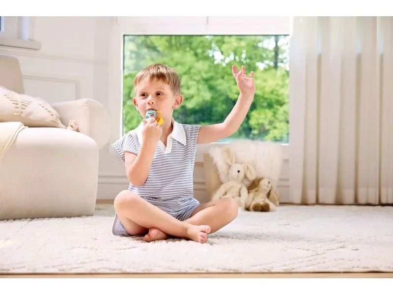 Hape Musikspielzeug Kinder-Kazoo Hape Musikspielzeug Kinder-Kazoo