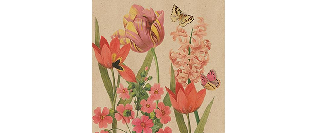 Braun + Company Papierservietten Charlotte 33 cm x 33 cm, 20 Stück