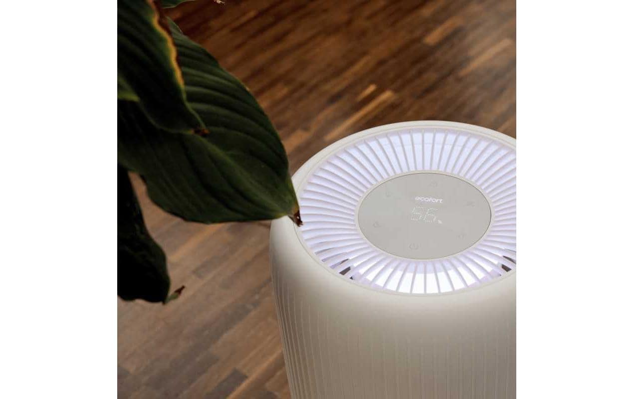 Ecofort Luftbefeuchter ecoQ HumidAir E600+ 80 m²
