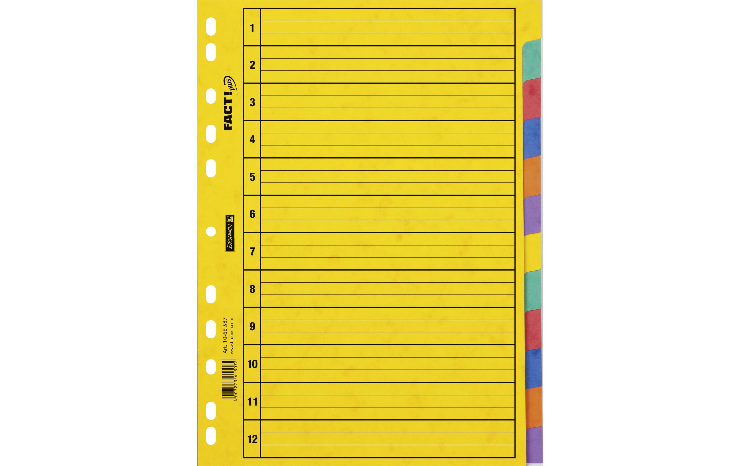 Brunnen Register A4 Fact Plus 1-12