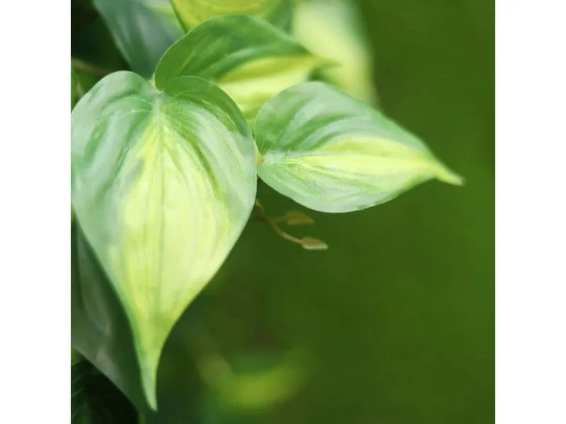 Botanic-Haus Kunstpflanze Philodendron Scandens Brasil Grün, 180 cm Botanic-Haus Kunstpflanze Philodendron Scandens Brasil Grün, 180 cm