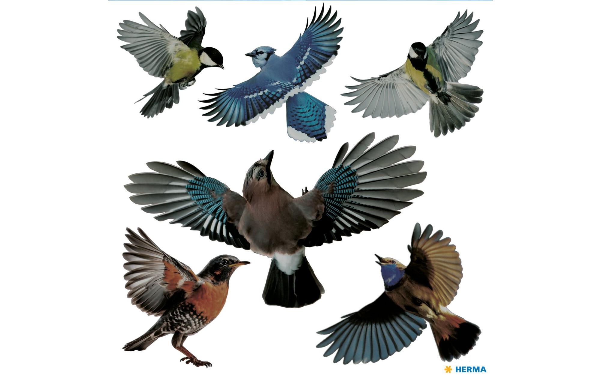 Herma Stickers Motivsticker Warnvögel 6 Stickers, wetterfest