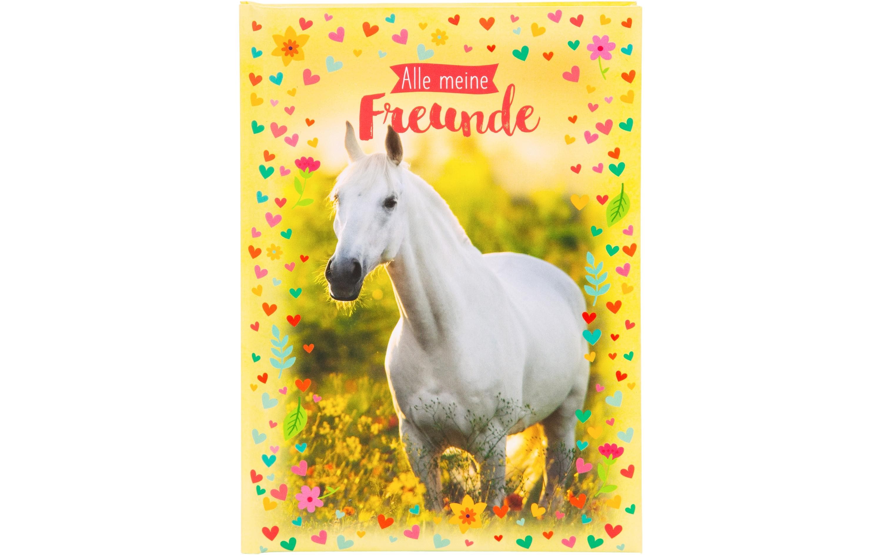 Goldbuch Freundebuch Chiara A5, 88 Seiten Goldbuch Freundebuch Chiara A5, 88 Seiten