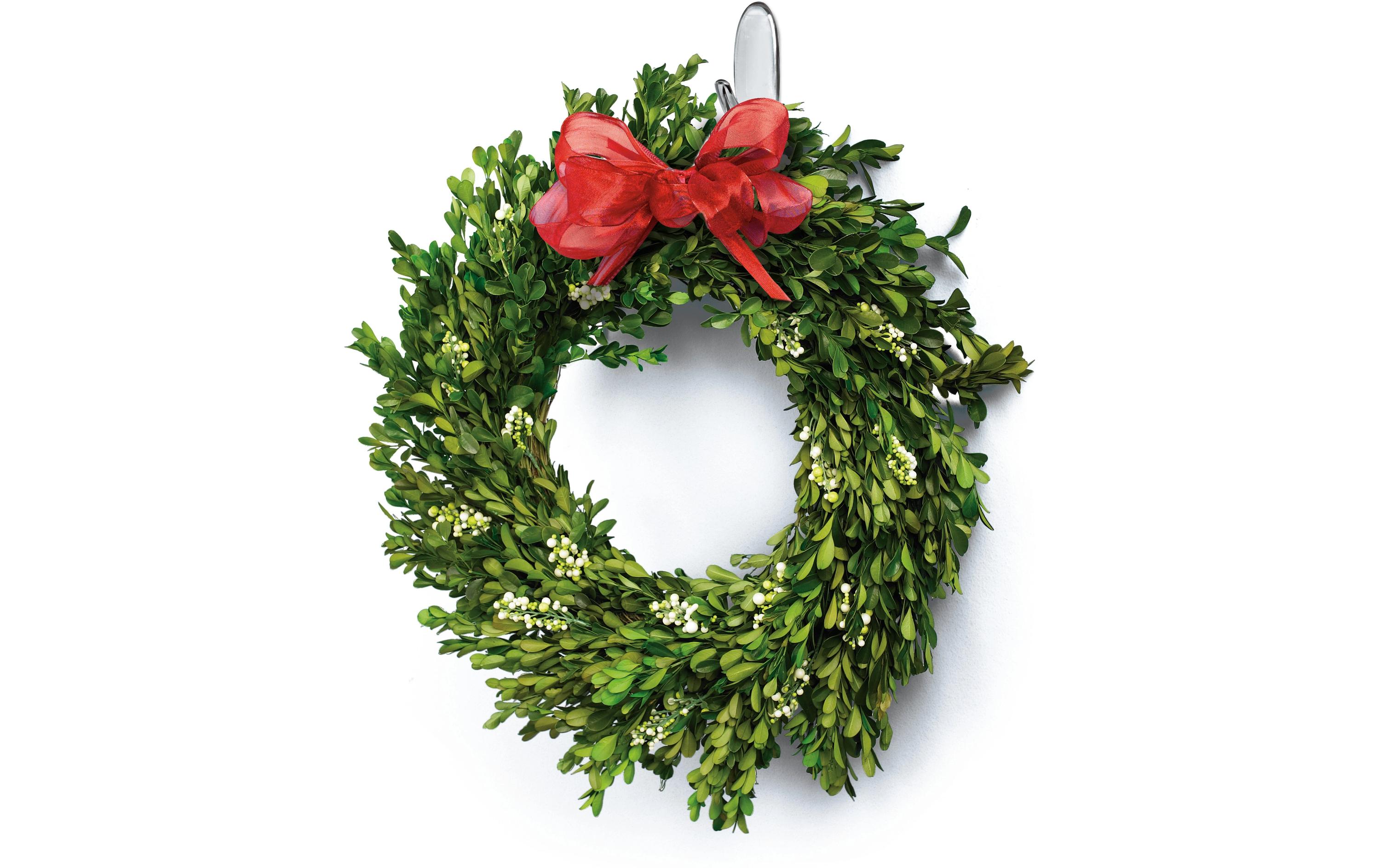 Command Klebehaken M 0.9 kg, Transparent