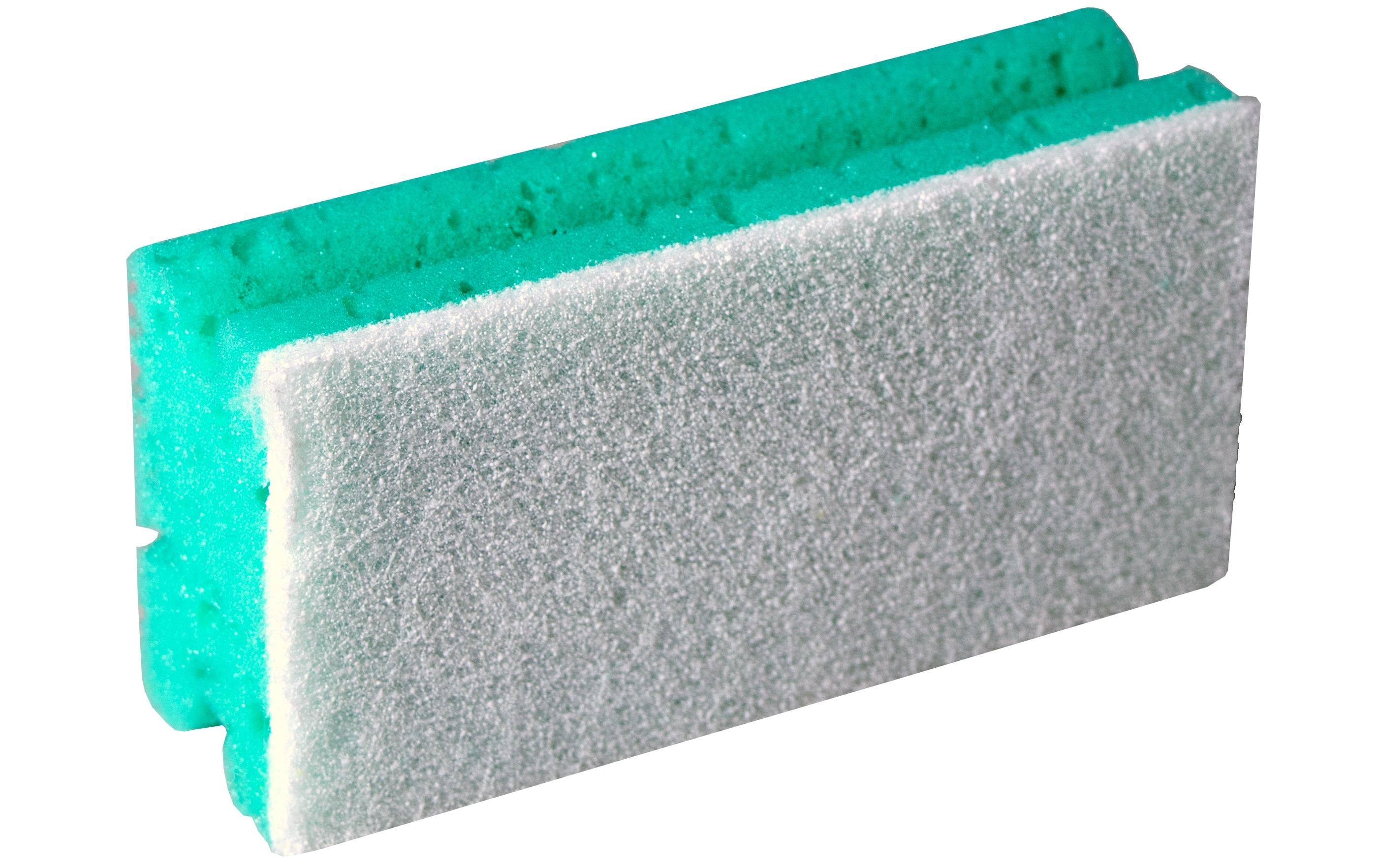 Edi Baur Schwamm Profi 10 Stück, Grün/Weiss