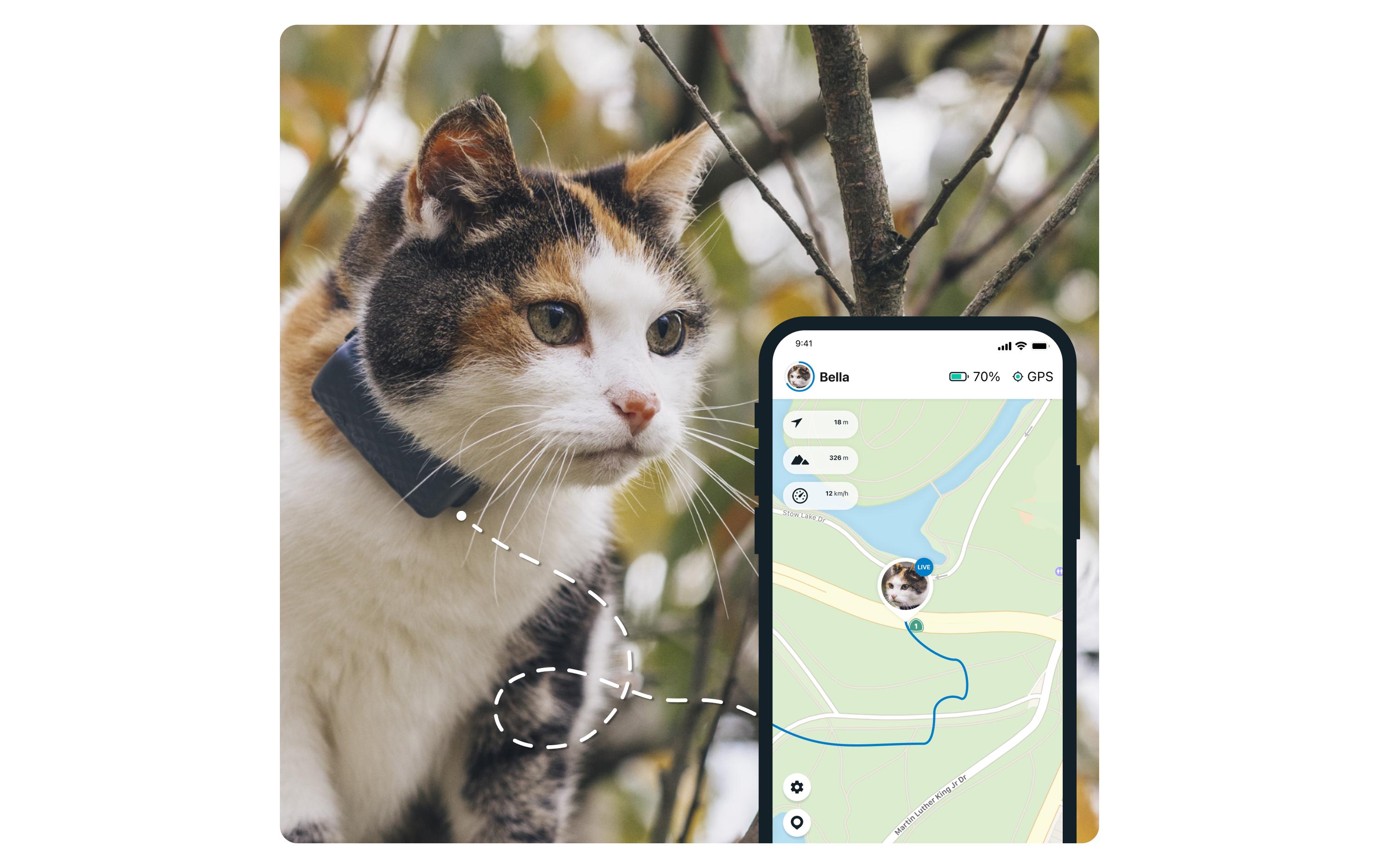 tractive GPS-Tracker CAT Mini LTE, Dunkelblau