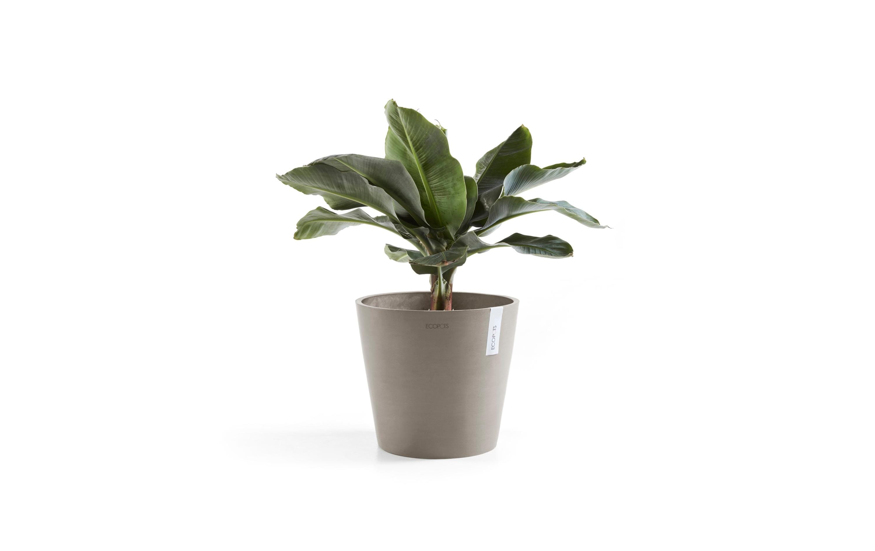 Ecopots Pflanzentopf Amsterdam 30, French Taupe