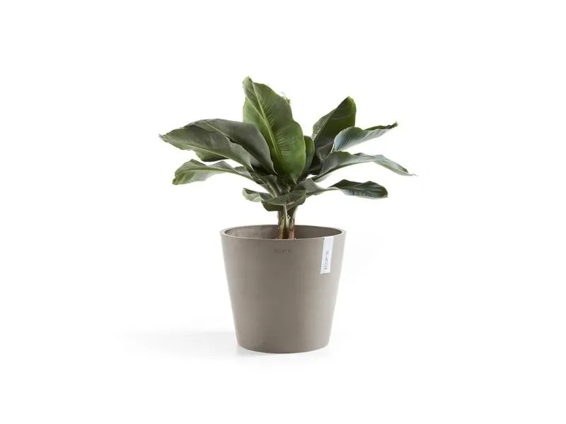 Ecopots Pflanzentopf Amsterdam 30, French Taupe