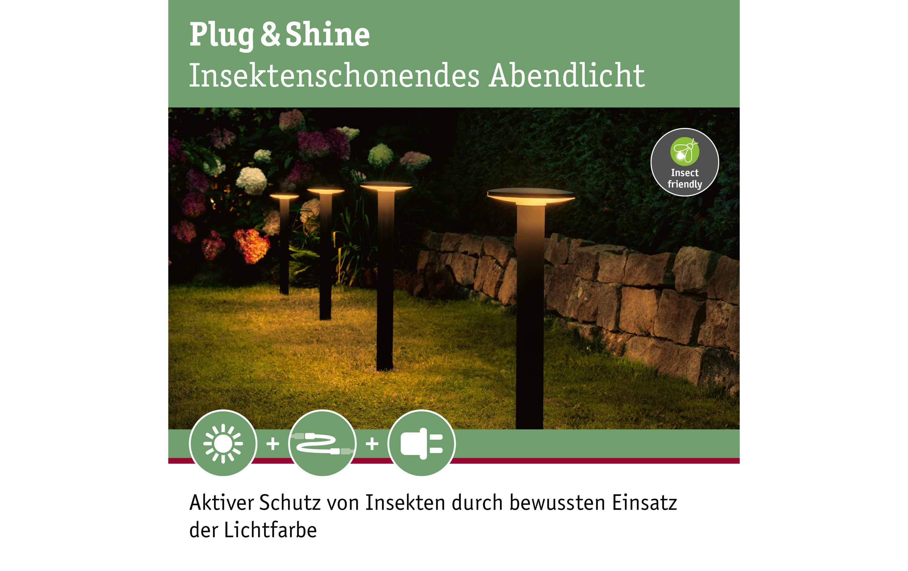 Paulmann Sockelleuchte Plug & Shine Plate, 2200 K, Schwarz