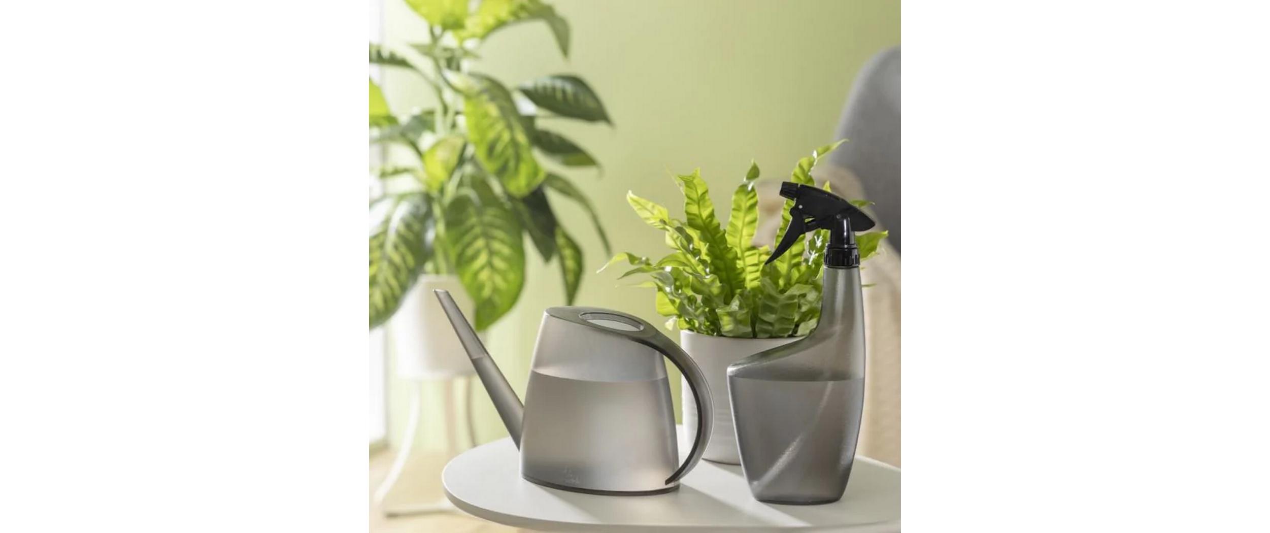 scheurich Giesskanne Lilly Platin matt scheurich Giesskanne Lilly Platin matt