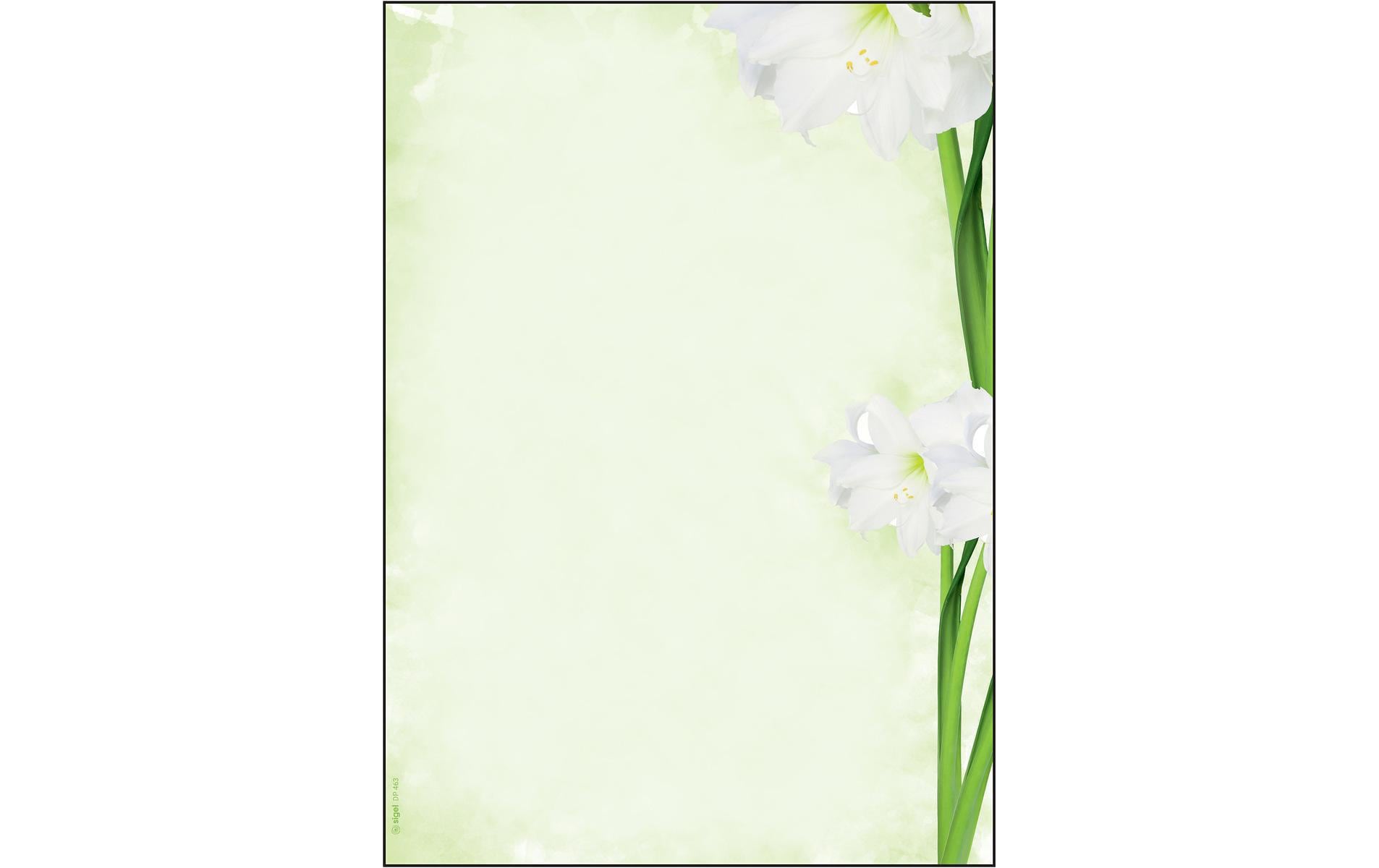 Sigel Motivpapier Green Flower A4, 25 Blatt