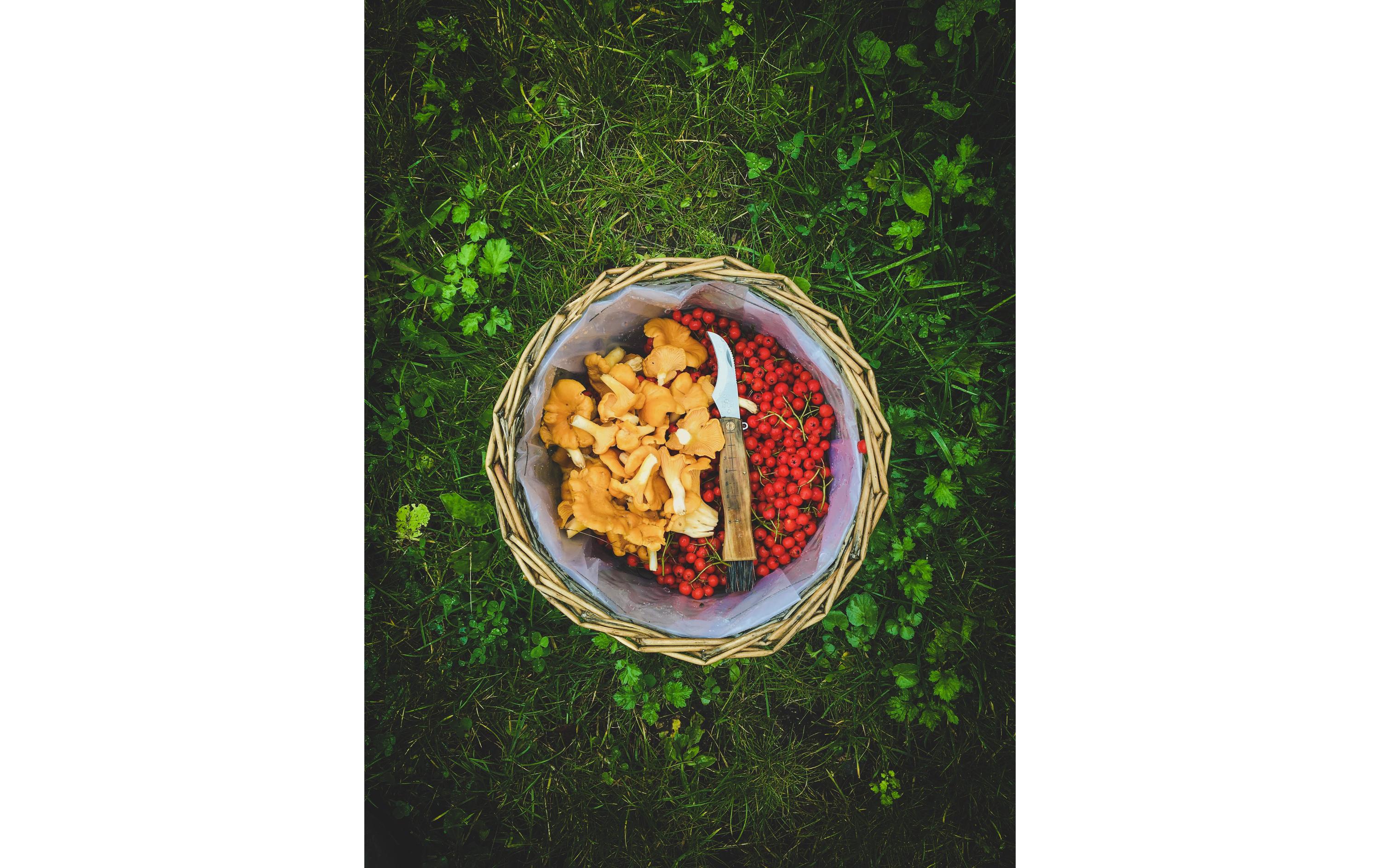 ØYO Taschenmesser Sopp