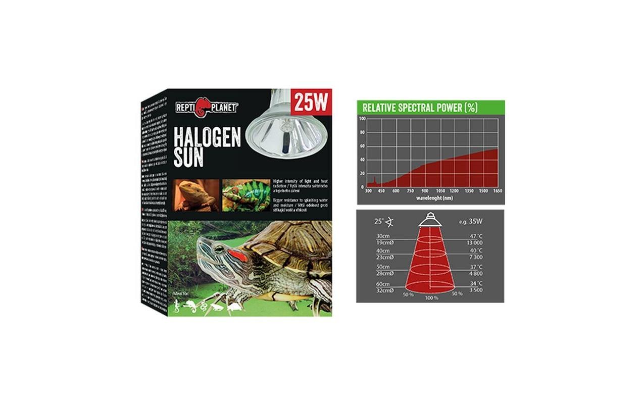 Repti Planet Terrarienlampe Halogen Spot 25 W